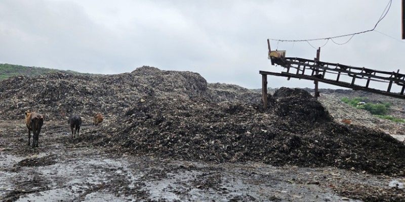 University of Leeds partnerships support India’s cleaner cities and net-zero goals