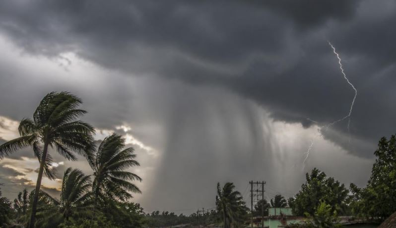 IMD Issues Yellow Alert for Rain, Thunderstorms in Nine Odisha Districts